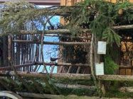 20. Landesziergeflügelschau